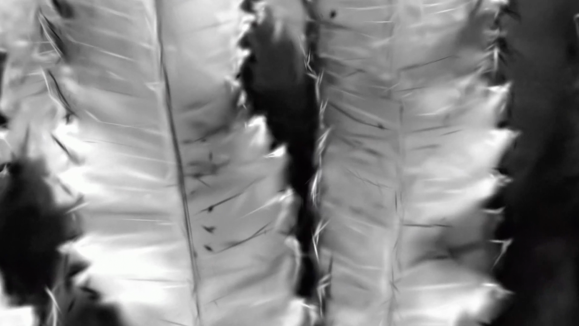 Thumbnail for Work 01